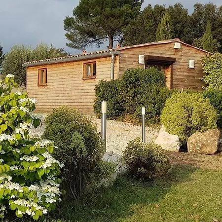 Chalet De Charme Climatise Sur La Route Du Ventoux Carpentras